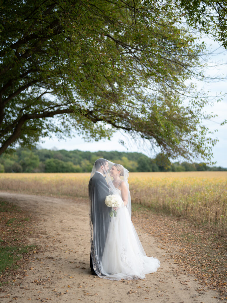 Bride and groom under tree at kent island 